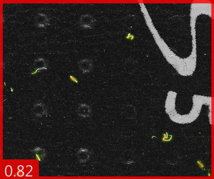 CIS screen 2